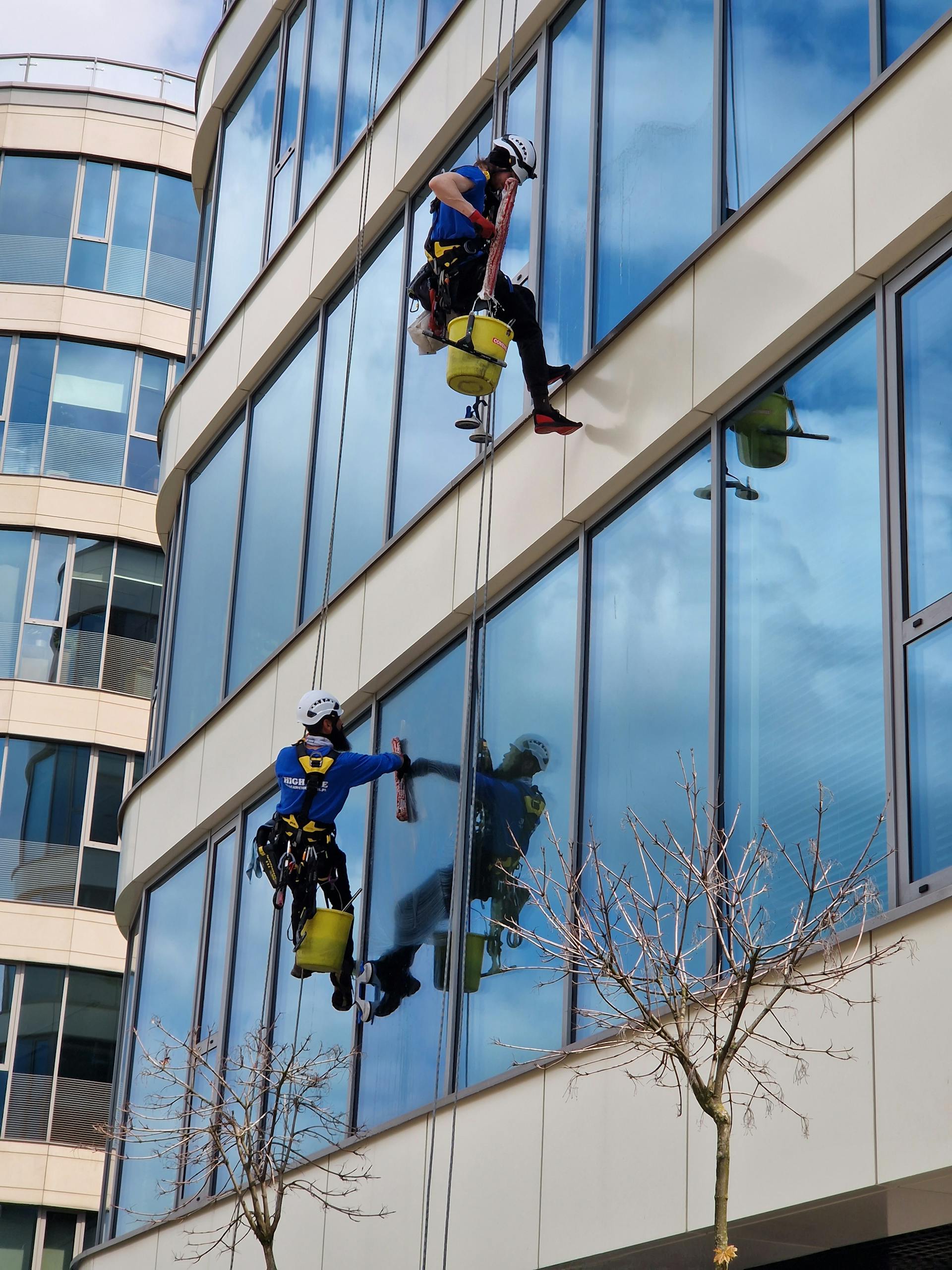 Two window cleaners using ropes on a modern skyscraper, showcasing urban professional maintenance.